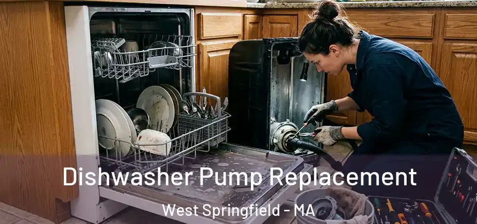 Dishwasher Pump Replacement West Springfield - MA