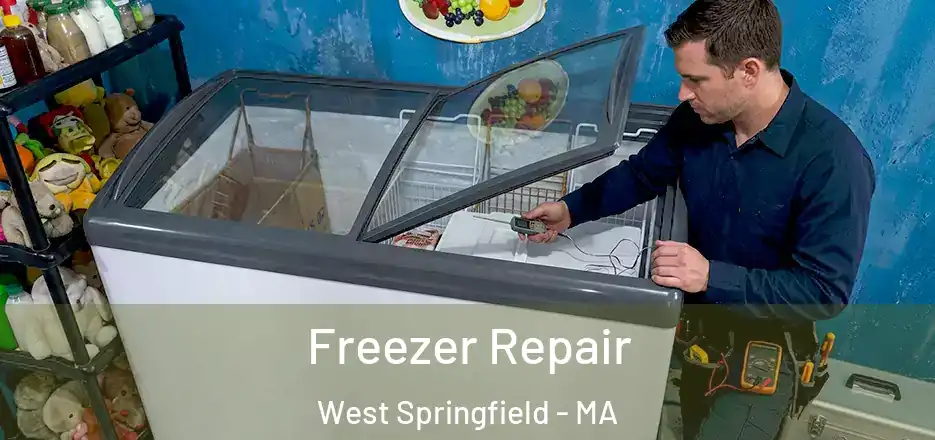 Freezer Repair West Springfield - MA