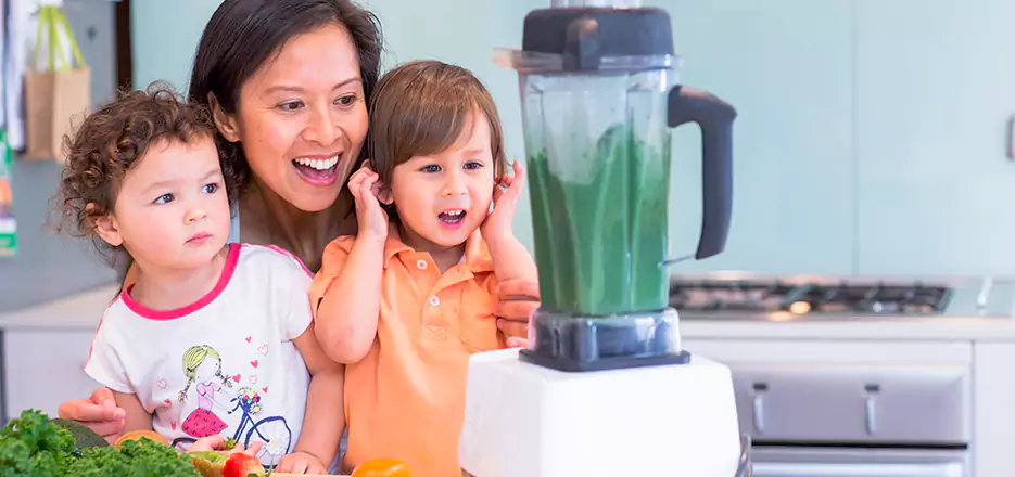 Juicer and Mixer Blender Repair in West Springfield