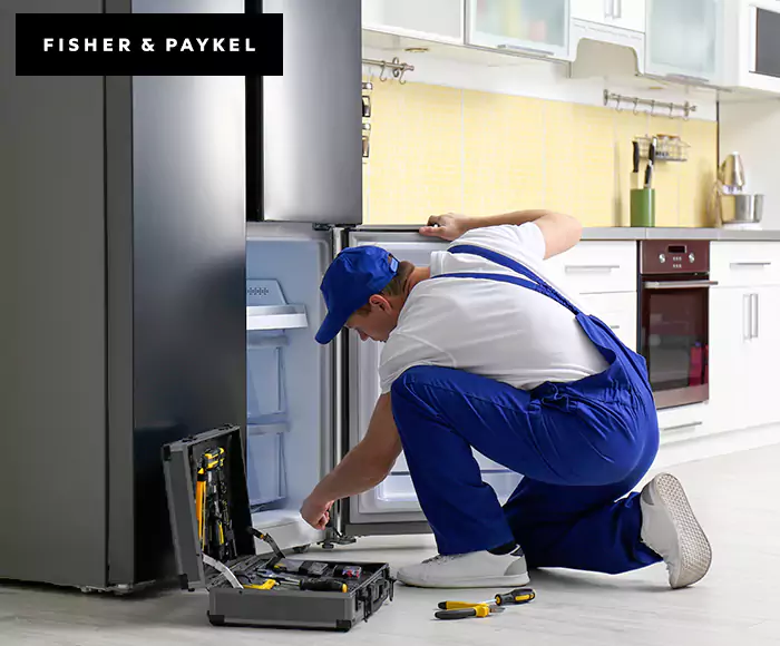 Top-Rated Fisher & Paykel Appliance Experts: Your Brand Specialist in West Springfield, MA