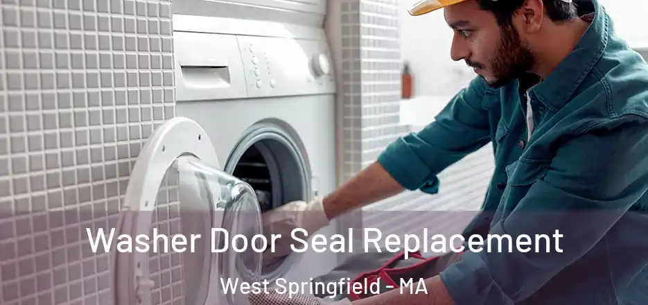  Washer Door Seal Replacement West Springfield - MA